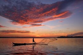 人生凭阑处，最爱是“长沙”