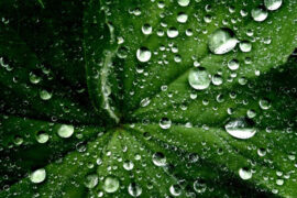 英姿焕发是褒义词吗？