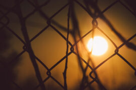 感想的反义词有哪些？