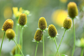 记忆很像艺术家，潜在心中，专事刻画我们自己的独特性