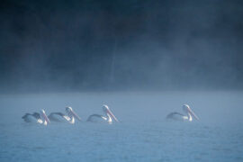 生活的“为什么”，就是生活的意思