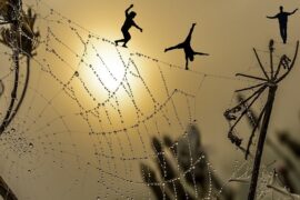 生命也像是在走钢索或凌空飞跃