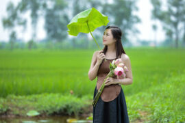 安乐的同义词有哪些？