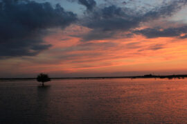 郑燮《满江红·思家》全文及鉴赏