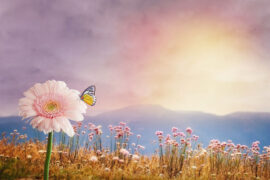 与其做好人，我宁愿做一个完整的人