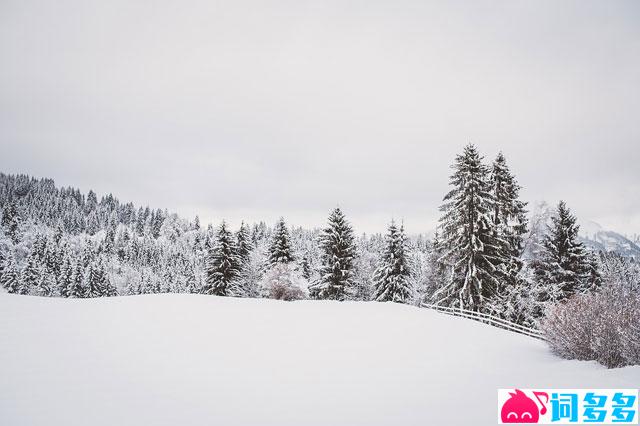 姜夔《钓雪亭》全文及鉴赏