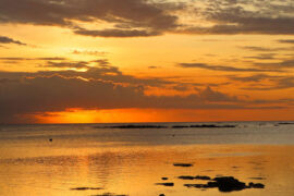 岳飞《满江红·登黄鹤楼有感》全文及鉴赏