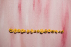 黎明《夏日倾情》歌词及评论赏析