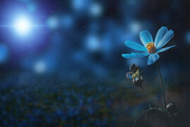 林奕匡《高山低谷》歌词评论及赏析