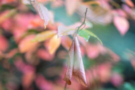 亢奋的反义词有哪些？