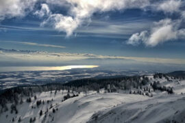 张国荣《梦里蓝天》歌词及评论赏析