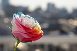 陈慧娴《让一切随风》歌词及评论赏析