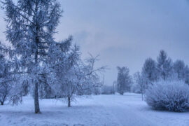 李克勤《自作自受》歌词及评论赏析