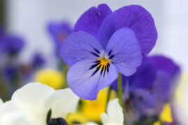 生命就在今天的生活里，就在每一天和每一时刻里