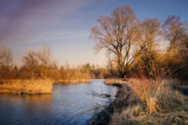 所有的时光都是被辜负被浪费后，才能从记忆里将某一段拎出