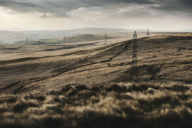 我从细小的源泉里饮水，而我的渴大于一片海