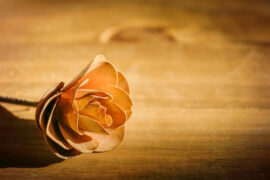 独特的近义词有哪些？