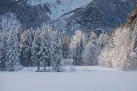 毛泽东《沁园春·雪》全文及鉴赏