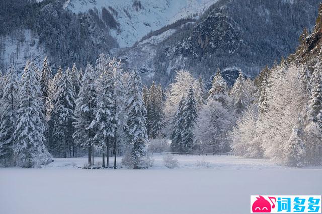 毛泽东《沁园春·雪》全文及鉴赏