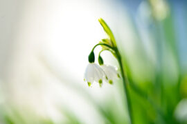 参考的近义词有哪些？