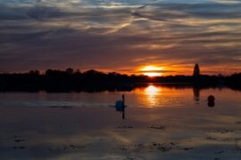 遮怎么组词？包含“遮”字的组词及成语大全