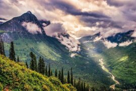 娇怎么组词？包含“娇”字的组词及成语大全