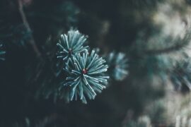 兜怎么组词？包含“兜”字的组词及成语大全