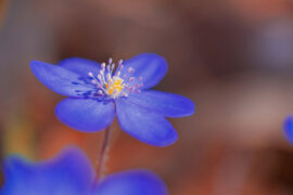 黑暗是一面镜子，光明只能通过它才能看见自己的脸