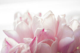 不愤不启，不悱不发