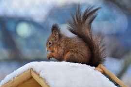 追风赶月莫停留，平芜尽处是春山