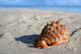 纵有千古，横有八荒；前途似海，来日方长