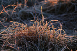 关于八一建军节的对联（一）
