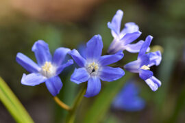 八一建军节，《建军大业》里燃爆了的12句经典台词