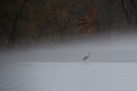 爱憎分明的同义词有哪些？