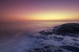 与其在绝望和挣扎中苟活，不如在希冀和盼望中死亡