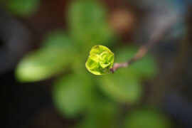 真理是通天下之见，是一切对或一切错误的总汇