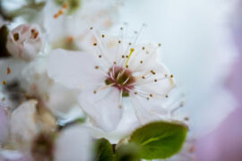 七夕节情话短信，发给心中的TA