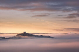 安于现状的同义词有哪些？