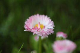 艺术的神圣，也许就在于容得下种种曲解误解