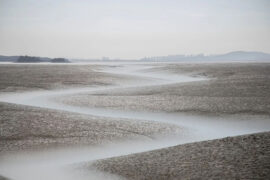 理想的近义词有哪些？