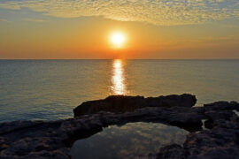 鲜肥的近义词有哪些？