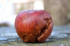 摆烂是什么梗？摆烂这个词的意思内涵及来源详解