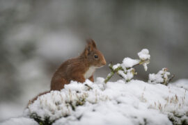 2023年教师节，简短优美的祝福语