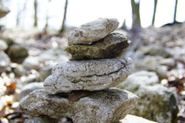 搅和的近义词有哪些？