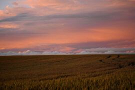 元好问《浣溪沙·往年宏辞御题有西山晴雪诗》全文及鉴赏