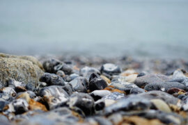 纳兰性德《鬓云松令·枕函香》全文及鉴赏