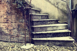 我们不只要珍惜自己的生活，也要珍惜每一个众生