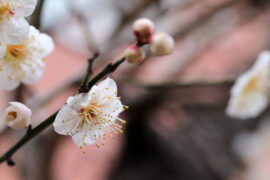 一个人的行动，比他所说的话，更有详细的表现