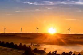 教师节诗歌朗诵稿：《亲爱的老师》