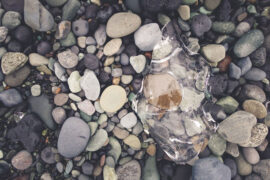 王观《红芍药·人生百岁》全文及鉴赏